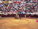 bullfighting bogota colombia picador blinded horse lancer 3