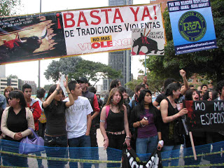 fiesta brava protest