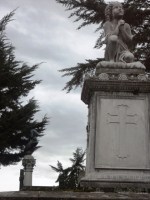 central cemetery bogota colombia 6