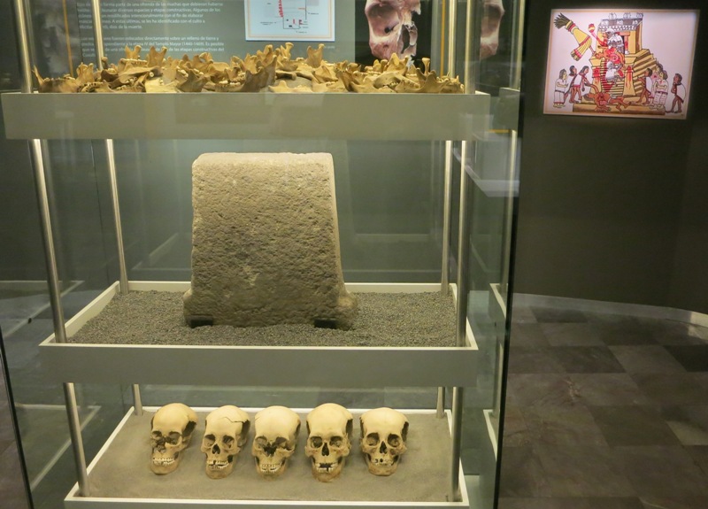 mexico-city-templo-mayor-museum-aztec-human-sacrifice